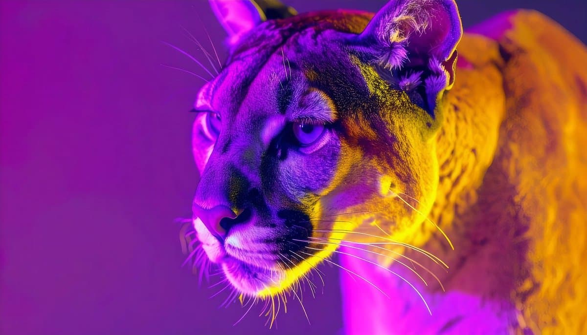 Adobe Firefly opens Custom Models beta for style and character training